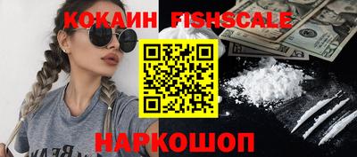 крисы Новодвинск
