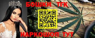 крисы Новодвинск