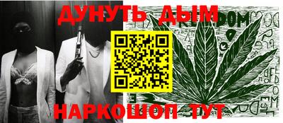 крисы Новодвинск