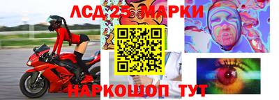 крисы Новодвинск