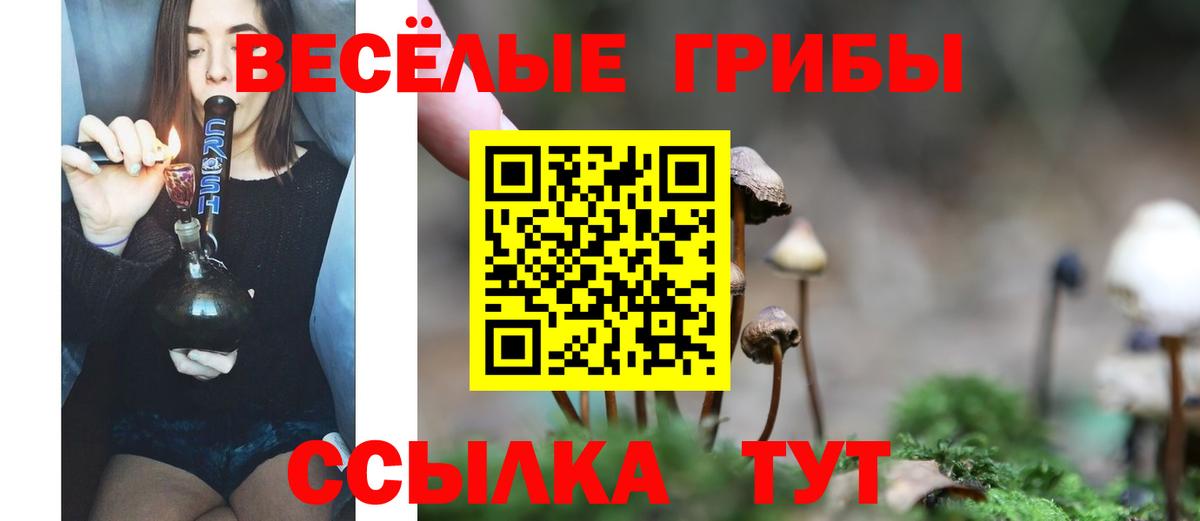 Галлюциногенные грибы мухоморы  Вход с VPN  Рассказово 